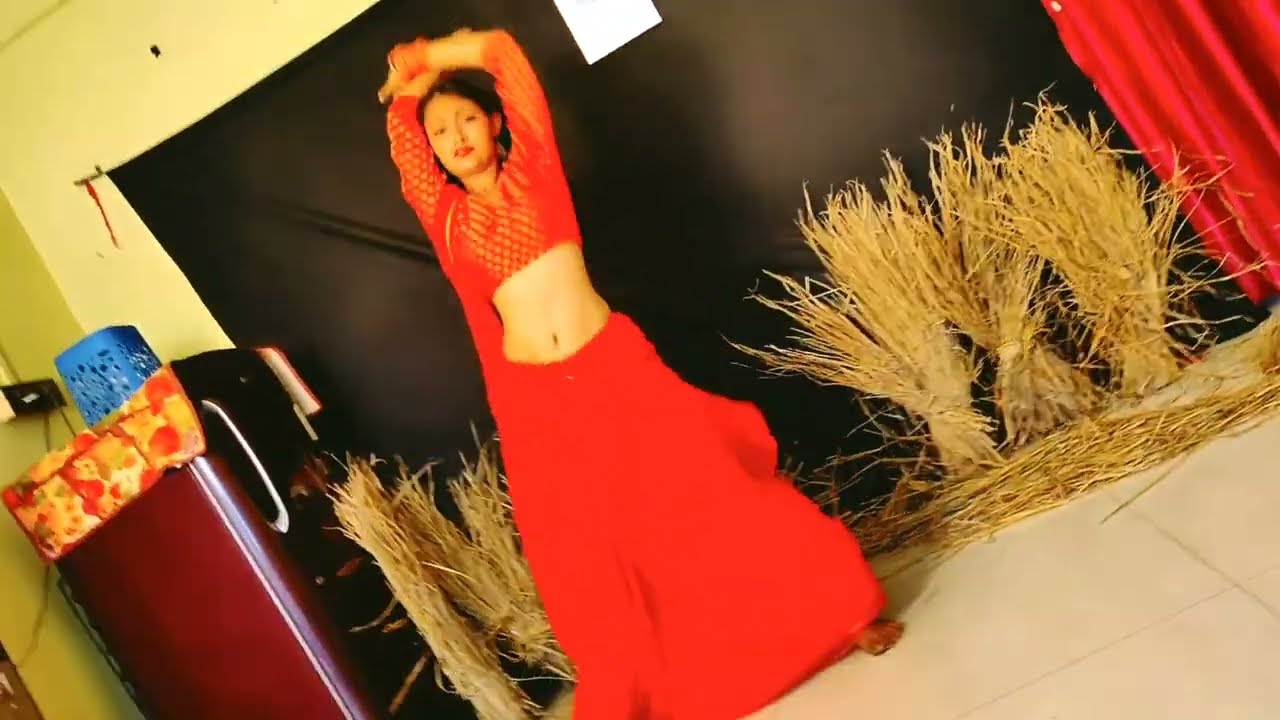 Dhak Dhak karne laga | Madhuri Dixit | Dance cover by Sejal Srivastava .