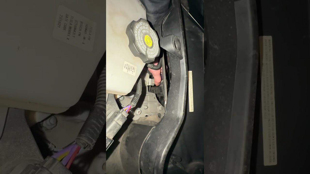 Difference between a 2022 model x plaid frunk and a 2017 x 100d. 