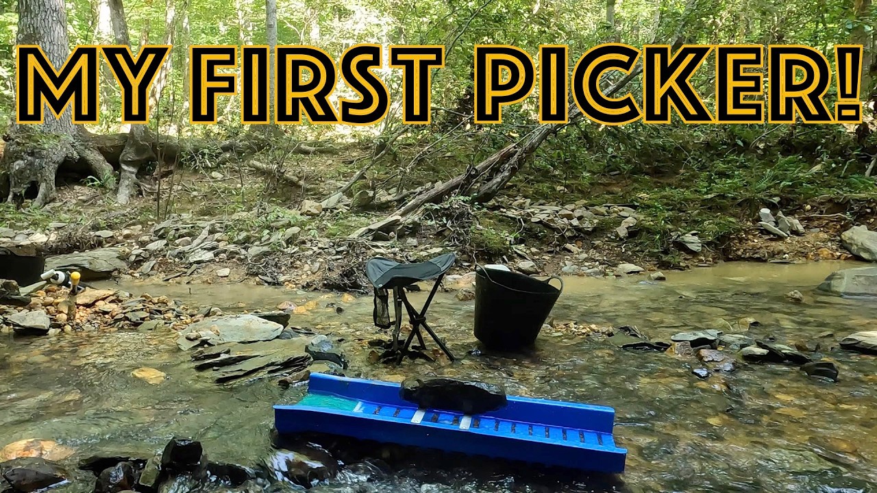 I found my first PICKER at the bottom of a deep hole in Uwharrie National Forest!!!