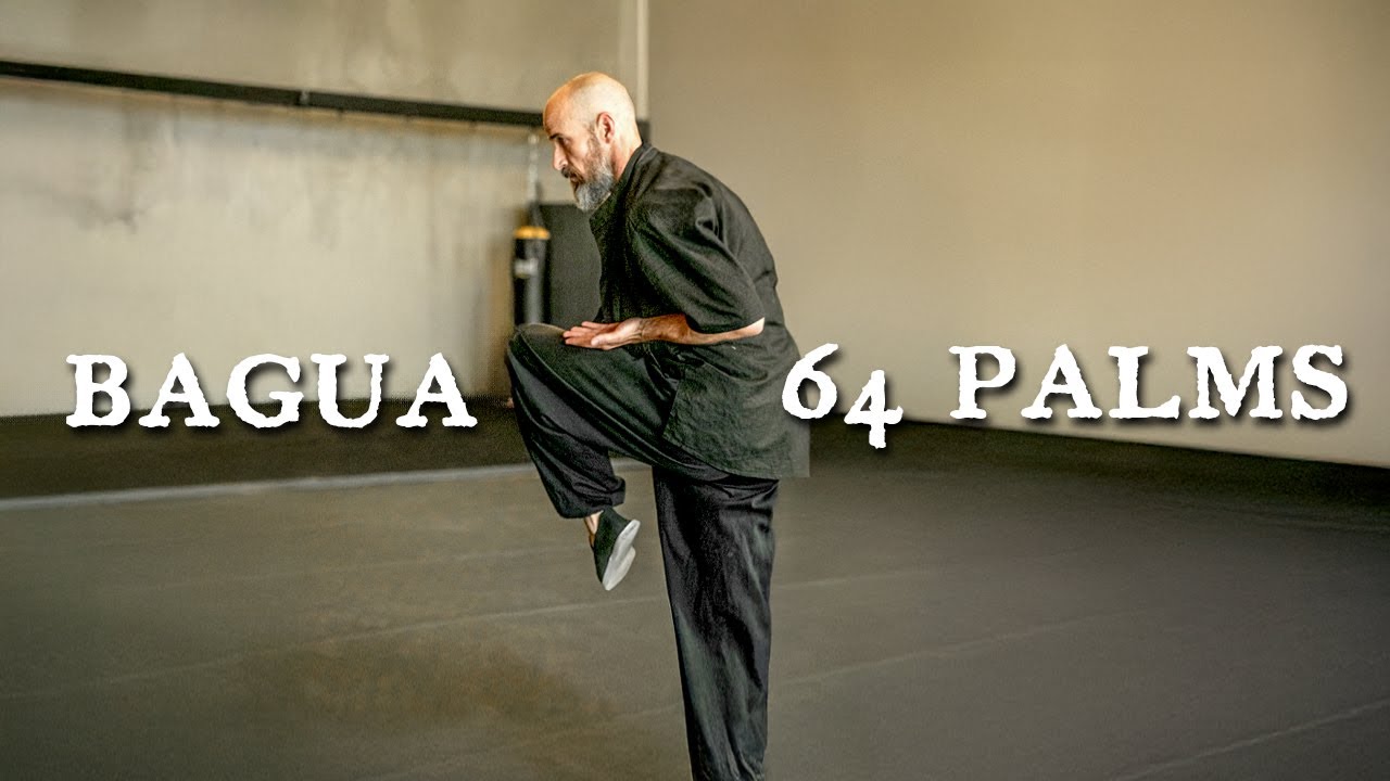 64 Palms First Set Tutorial for Beginners I Kung Fu Practice