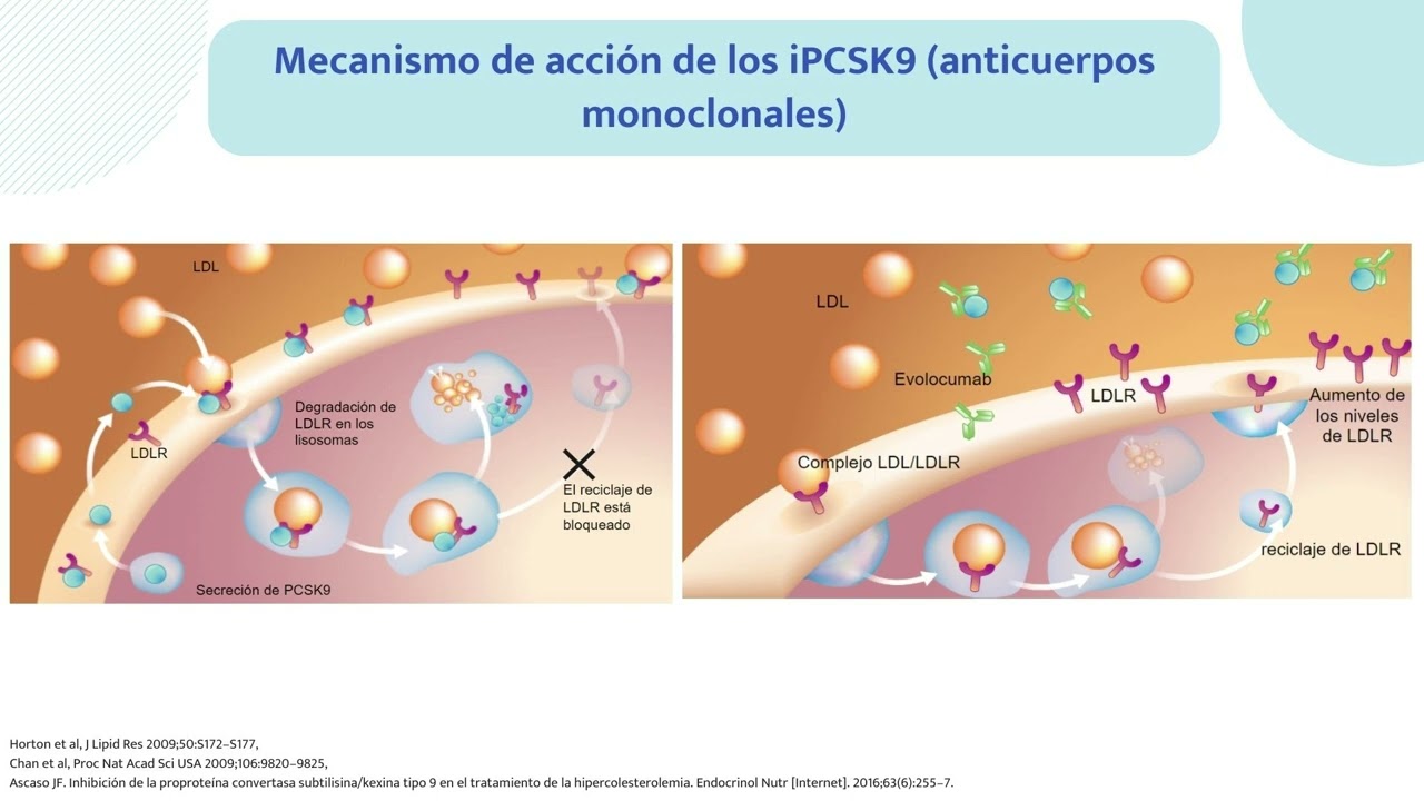 Webinar Adherencia terapéutica iPCSK9 a largo plazo