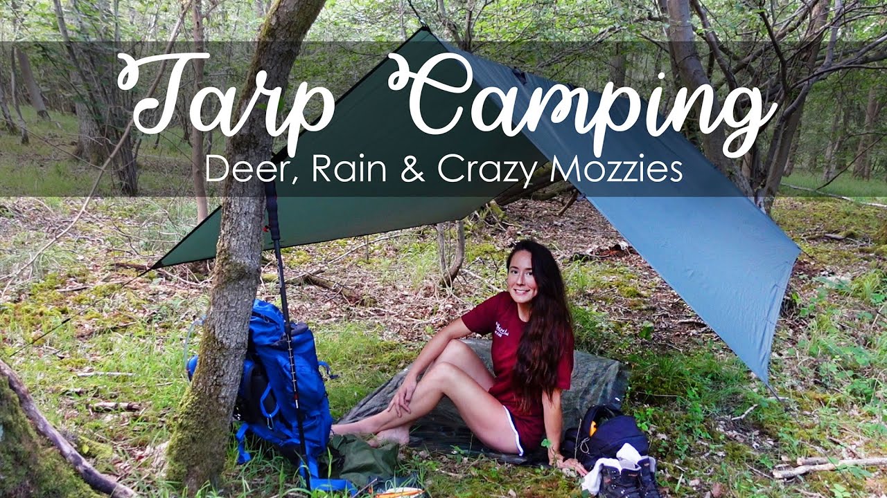 Solo Tarp Wild Camping With Deer, Rain & Crazy Mozzies! 🦌🌧🦟