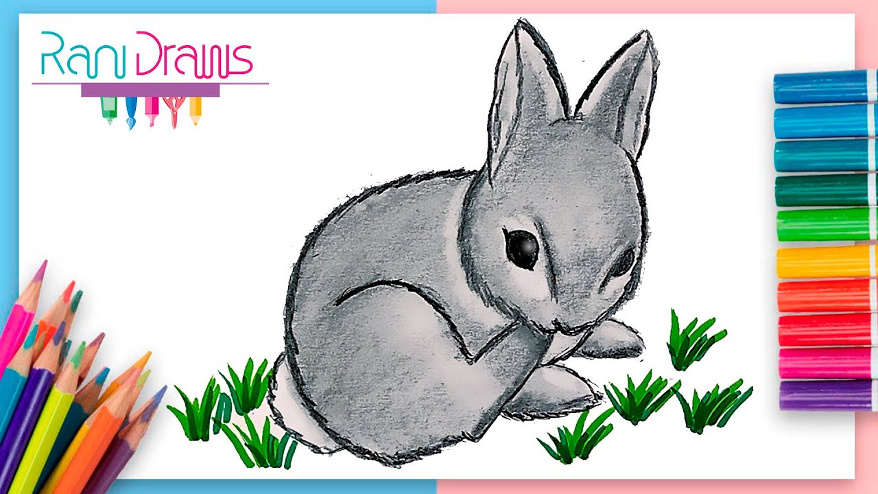 Cómo dibujar un CONEJO con lápiz - dibujos a lápiz fáciles