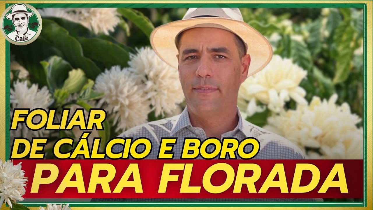 Cálcio e boro: será que eles funcionam agora, antes da florada?
