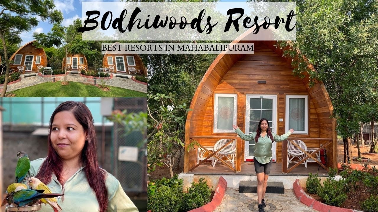 UNIQUE BIRD AVIARY RESORT IN MAHABALIPURAM || BODHIWOODS RESORTS || BEST RESORT IN MAHABALIPURAM