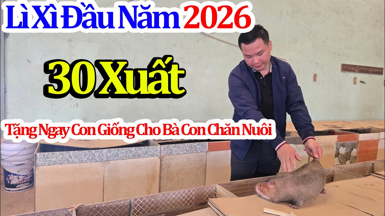 Lì Xì Đầu Năm Khai Xuân 2026 - Tặng Ngay Con Giống Cho Bà Con Chăn Nuôi