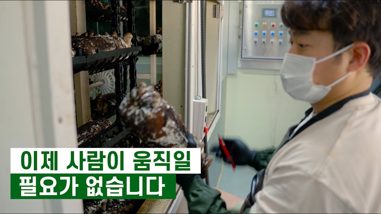 노동력 70% 절감! 스마트팜 기계로 참송이버섯 키우기