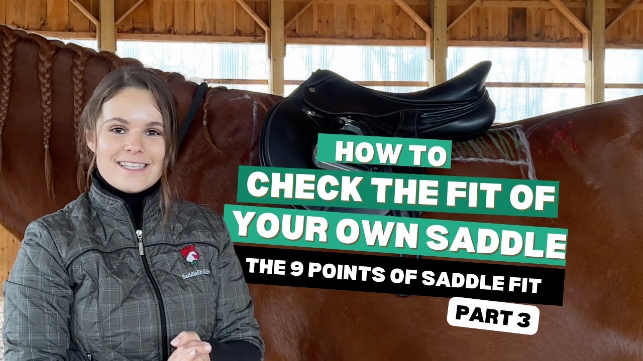 How to Check the Fit of Your Saddle: Part 3