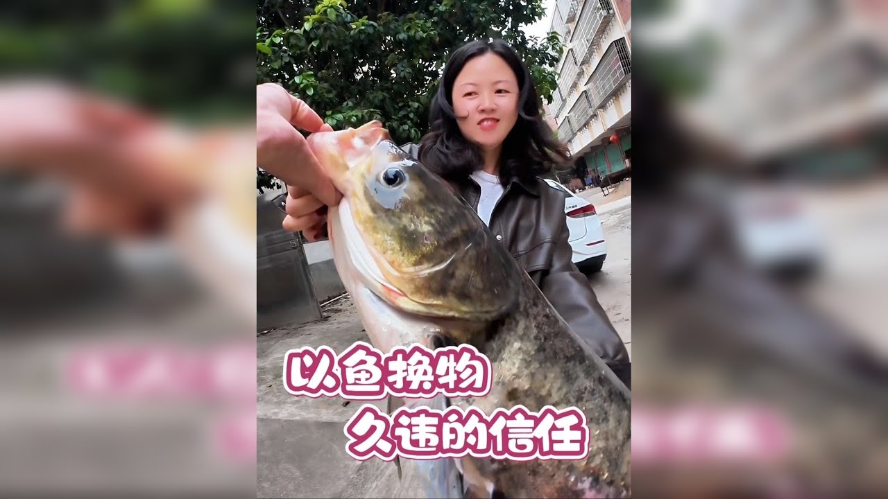 鱼换万物 感谢小姐姐的信任，30多次终于破龟了，2025年的第一条鲢鳙，太难了