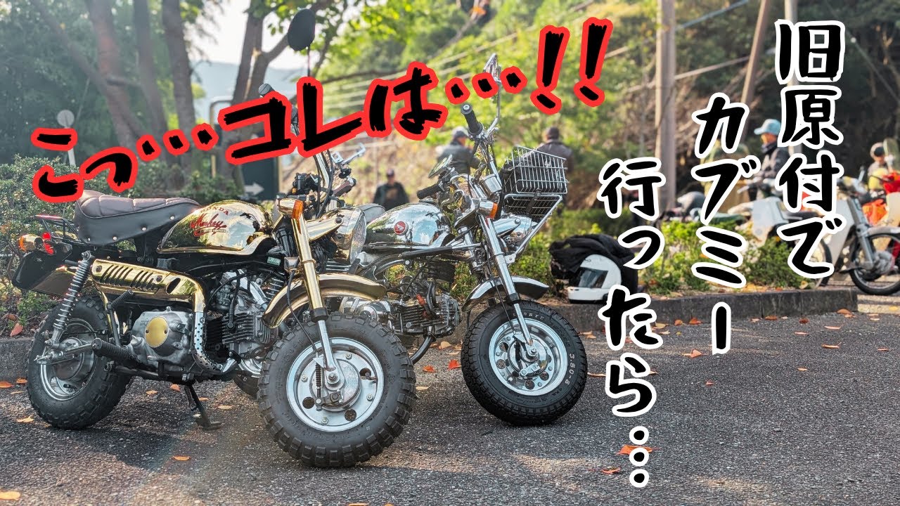 旧原付でカブミーティングに参加したら…レアモンキーを発見‼