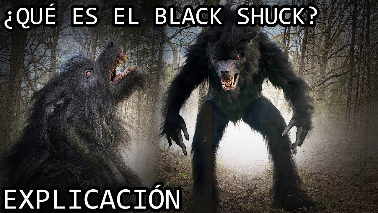 &iquest;Qu&eacute; es el Black Shuck? | La Misteriosa Historia del Black Shuck (Hombre Lobo) del Conjuro Explicada
