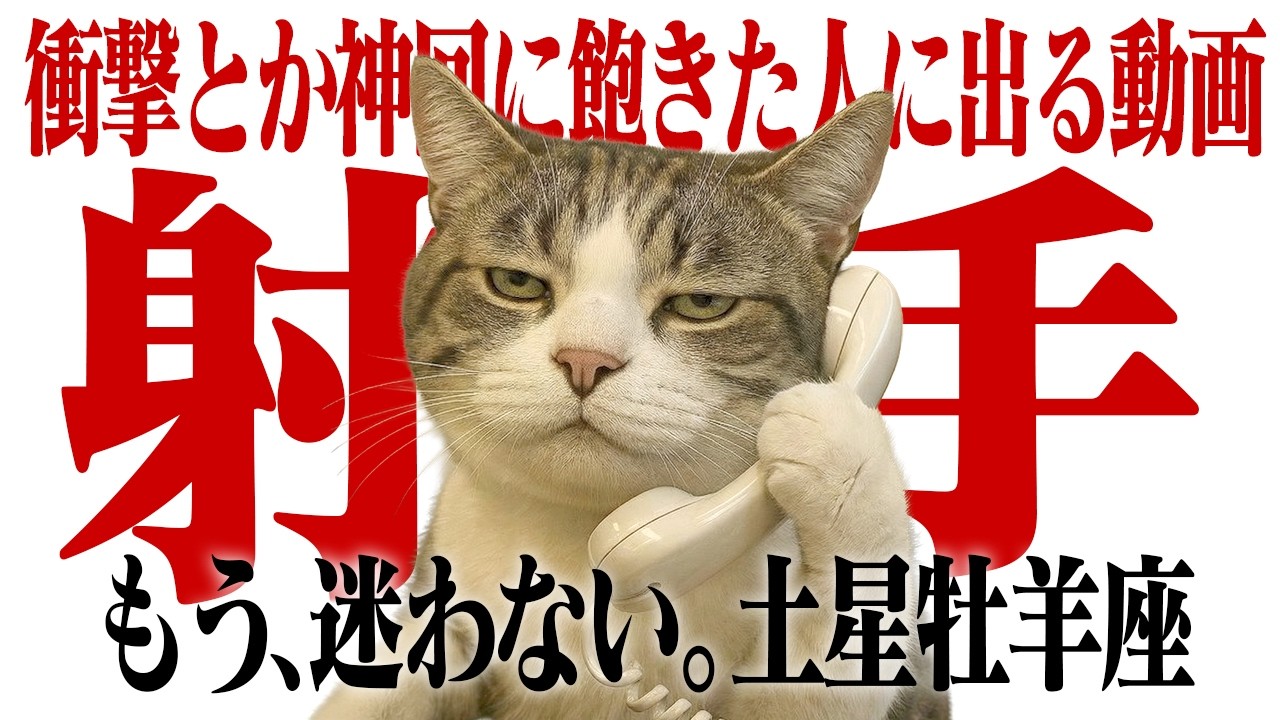 【2026年問題】射手座の「輝き」を取り戻す現実的な方法。※動画後半でタロット棚ツアーあり