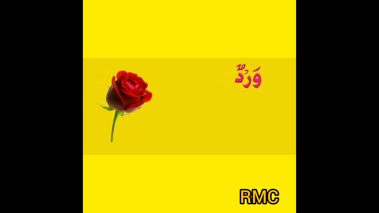 Arabic flowers name