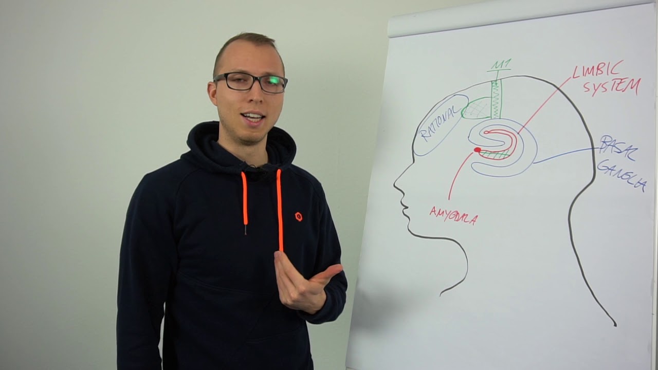 How Visualization Works | Neuroscience