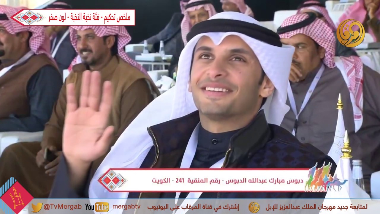 ملخص عروض منقيات وتحكيم فئة20 نخبة النخبة للون الصفر - للون الشعل #مهرجان_الملك_عبدالعزيز_للإبل_4