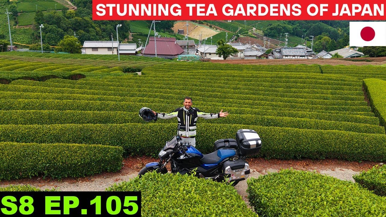 Stunning Tea Gardens of Kyoto Japan 🇯🇵 S8 EP 105 | Pakistan to Japan Motorcycle