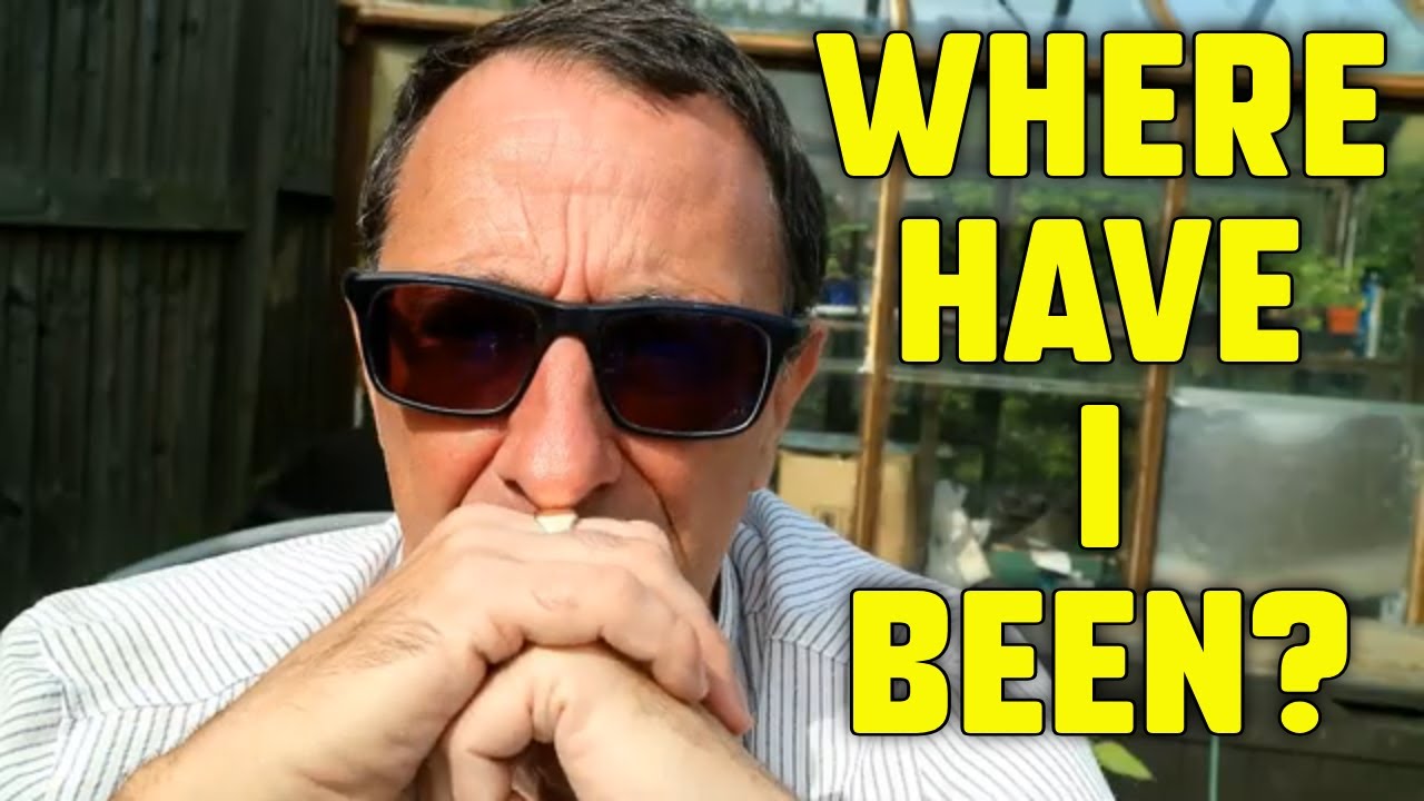 Where have I been?
