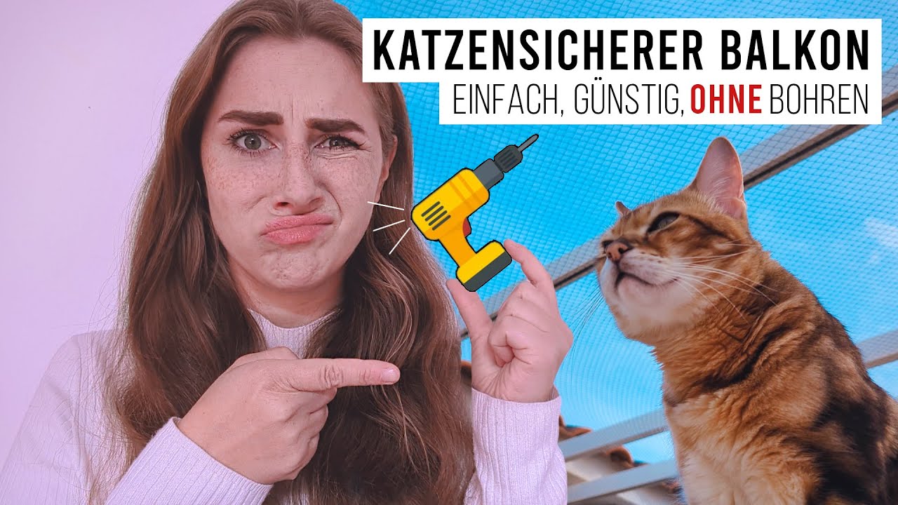 SUPER EINFACH Balkon und Terrasse KATZENSICHER machen - ohne bohren! Katzen DIY