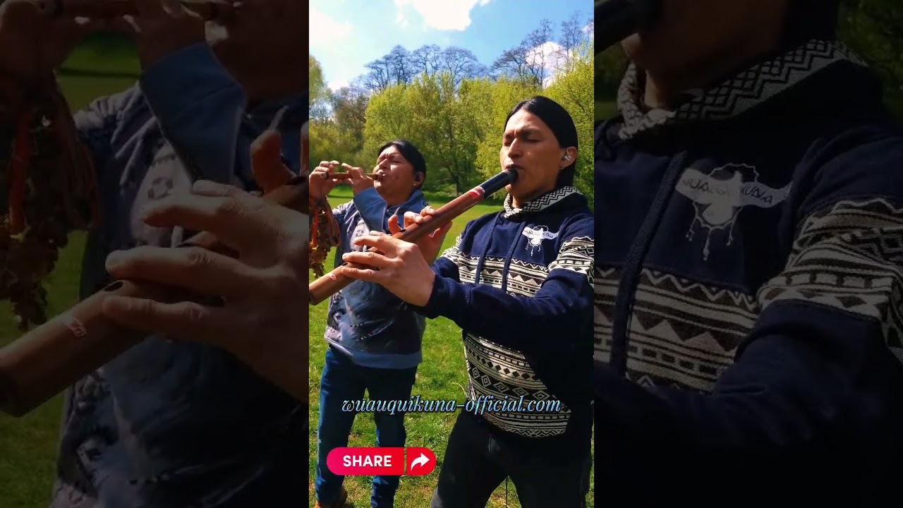 #thelastofthemohicans #viral #viralvideo #wuauquikuna #relaxing #flute