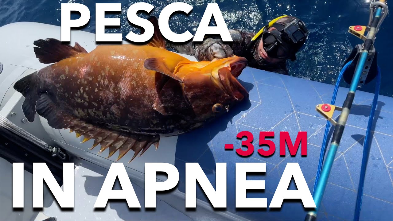 13KG DI CERNIA IN APNEA!