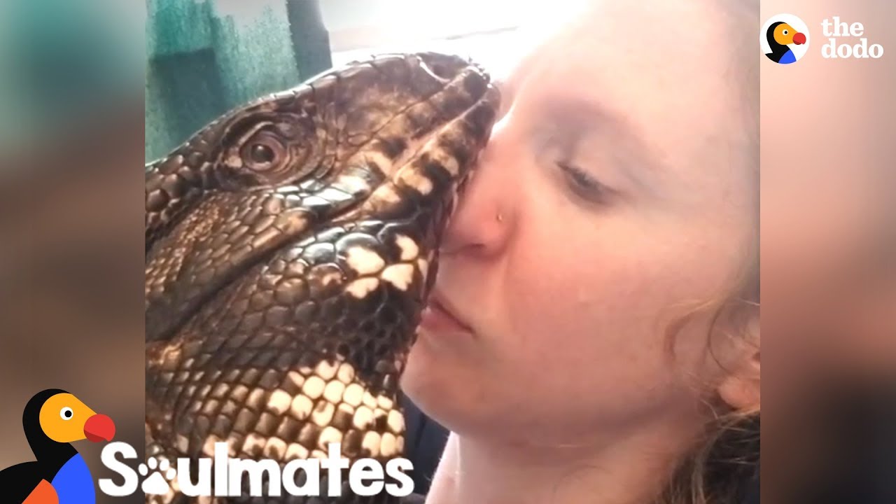 Giant Lizard And Mom Have The Sweetest Bond | The Dodo Soulmates