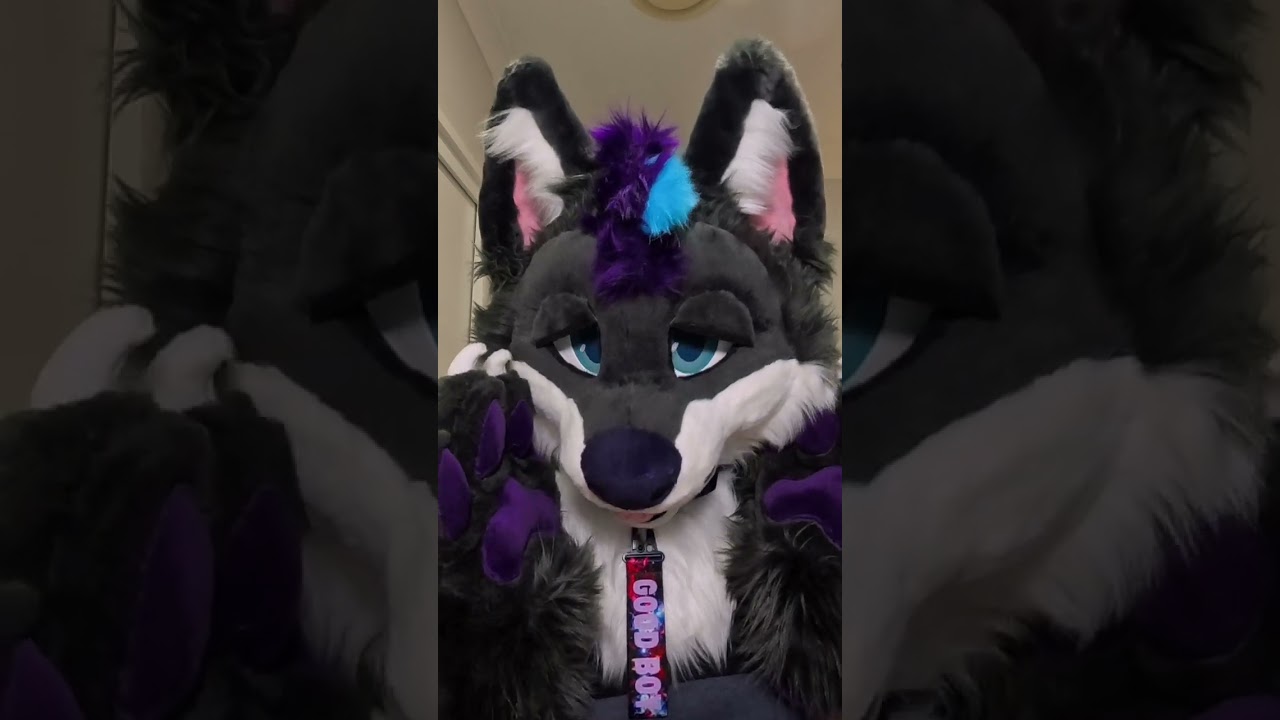 POV: You decided life's too short to be sensible 