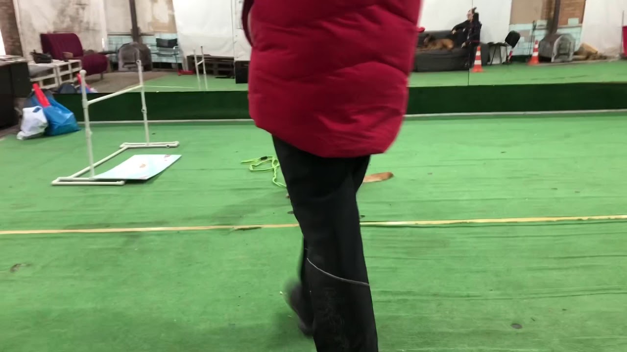Концентрация при раздражителях