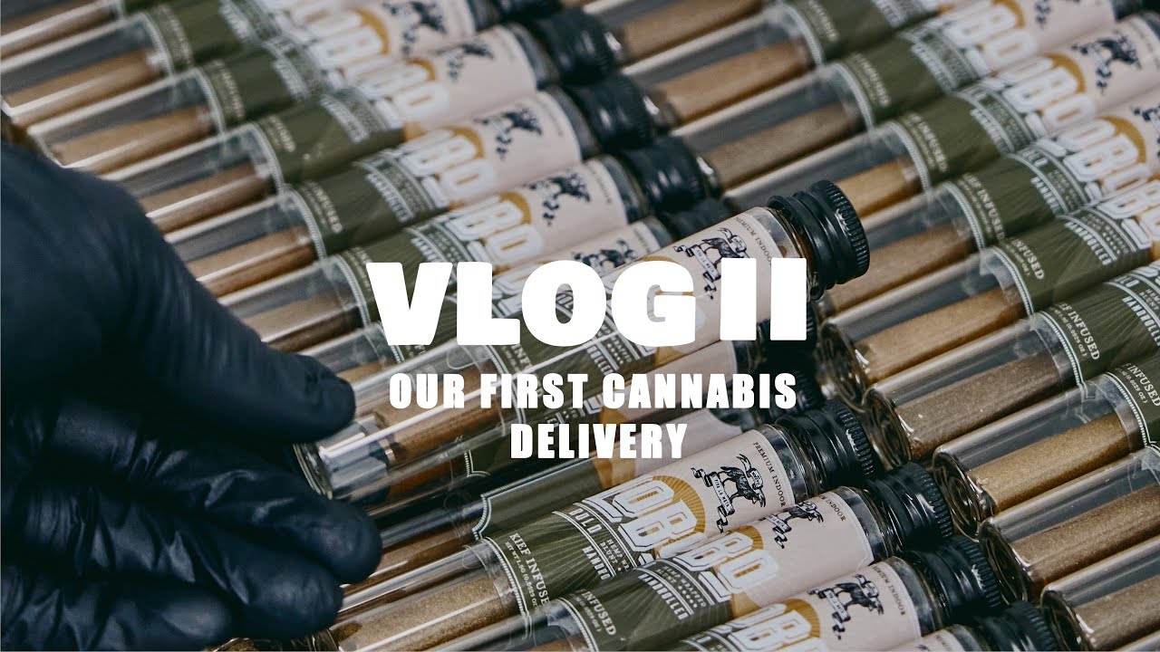 Our First Cannabis Delivery  // Lobo Cannagar Vlog 2 Launching Arizona 🐺🌵