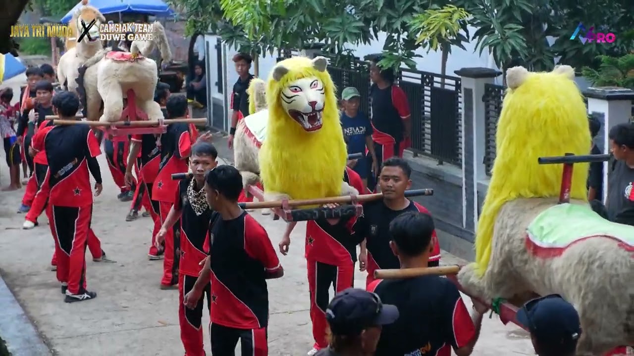ATRAKSI SEGITIGA BUROK JAYA TRI MUDA LIVE DESA TERSANA PABEDILAN - CIREBON