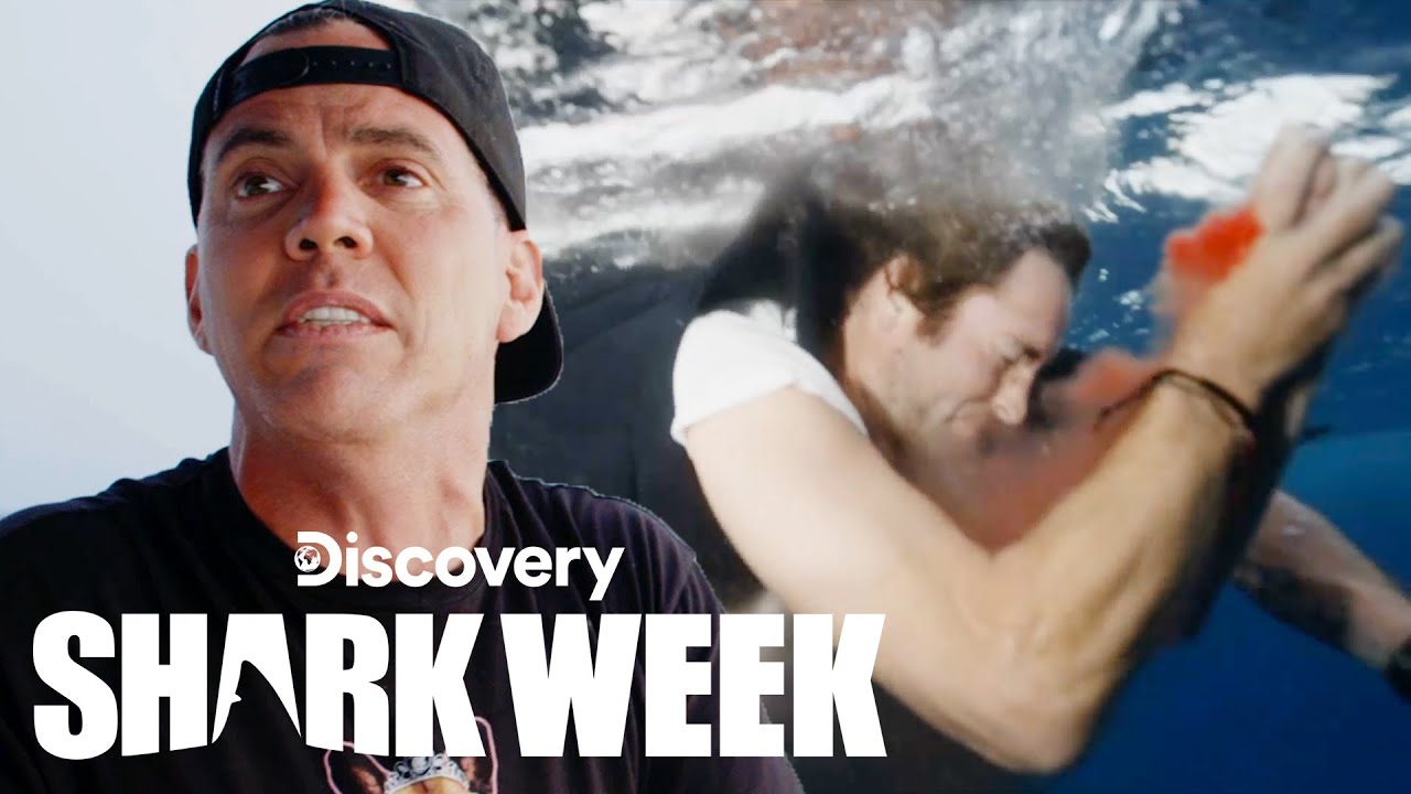 Shark Bites 'Jackass' Star Poopies | Shark Week