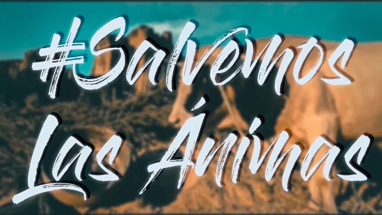 VALLE DE LAS ÁNIMAS / LA PAZ BOLIVIA #SalvemosLasAnimas