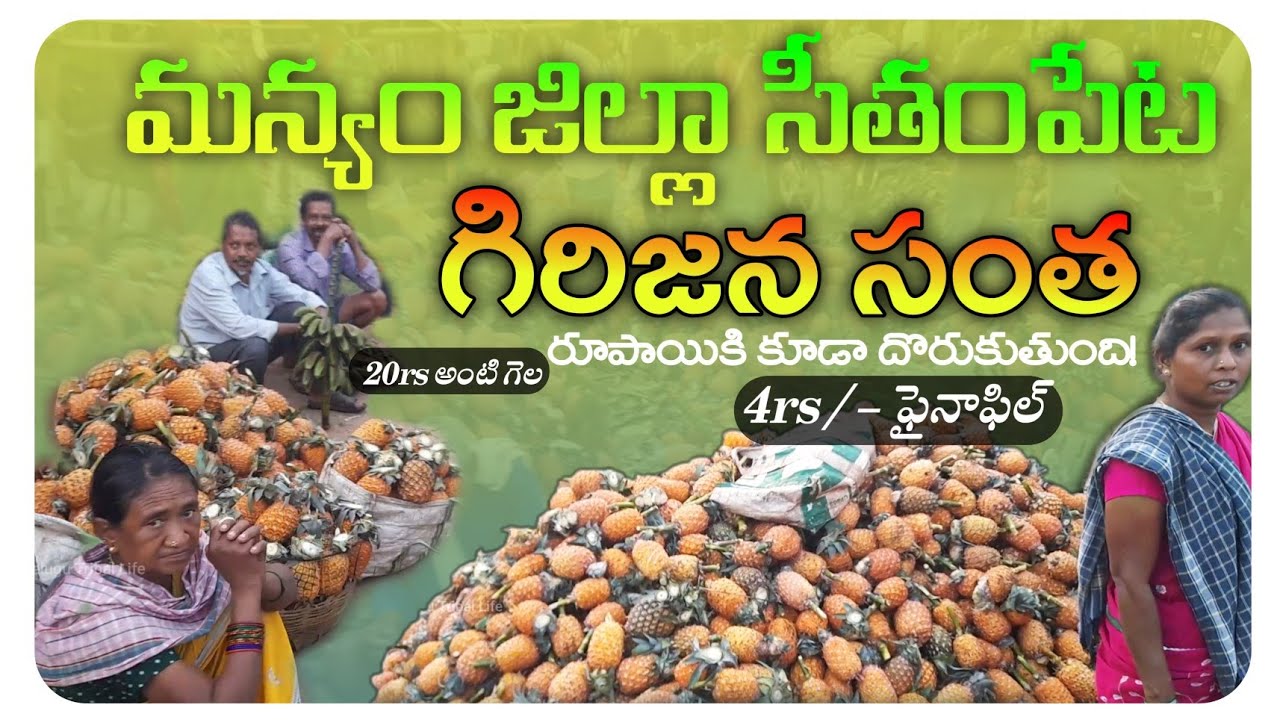 Seethampeta Tribal Market in Andhrapradesh//సీతంపేట గిరిజనులు సంత//Indian Tribal Market