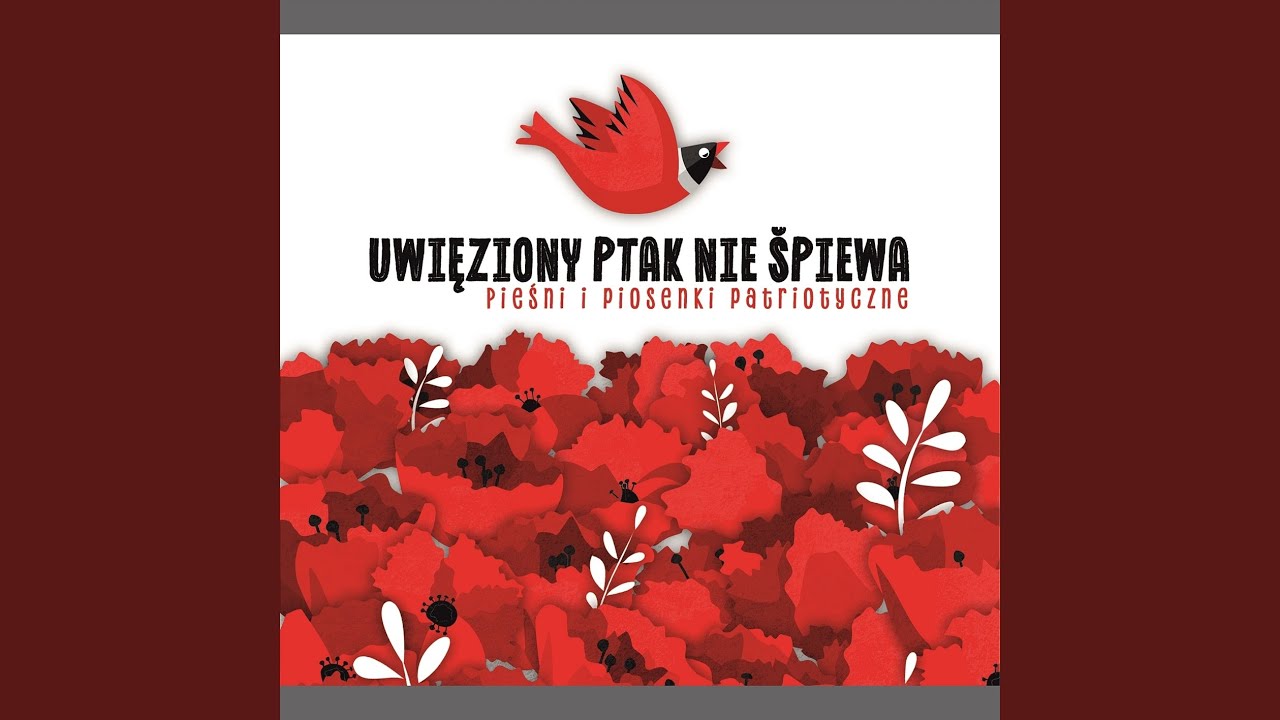 Żołnierzu-panienko