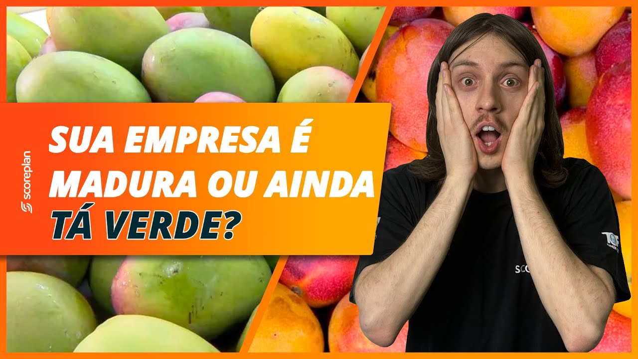 Maturidade de gestão: o que você precisa saber para evoluir sua empresa
