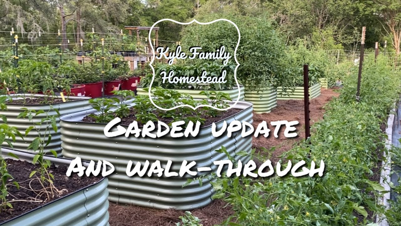 Organic Gardening in Zone 9a, Central Florida Vegetable Garden Walk Through, Raised Bed Garden