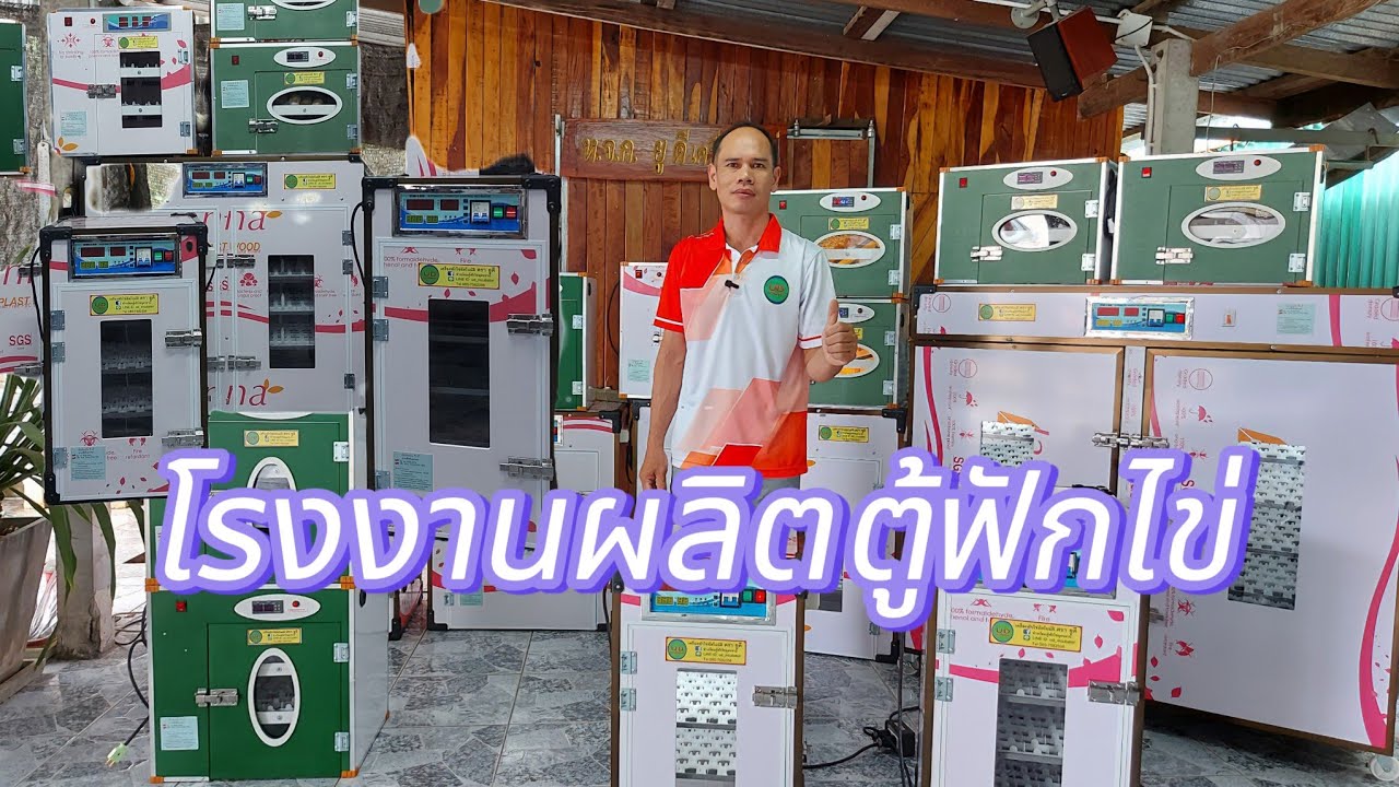 เครื่องฟักไข่อัตโนมัติ ตรา ยูดี ฟักไข่ไก่ ไข่เป็ด ไข่ห่าน ไข่ไก่งวง ไข่นกกระทา