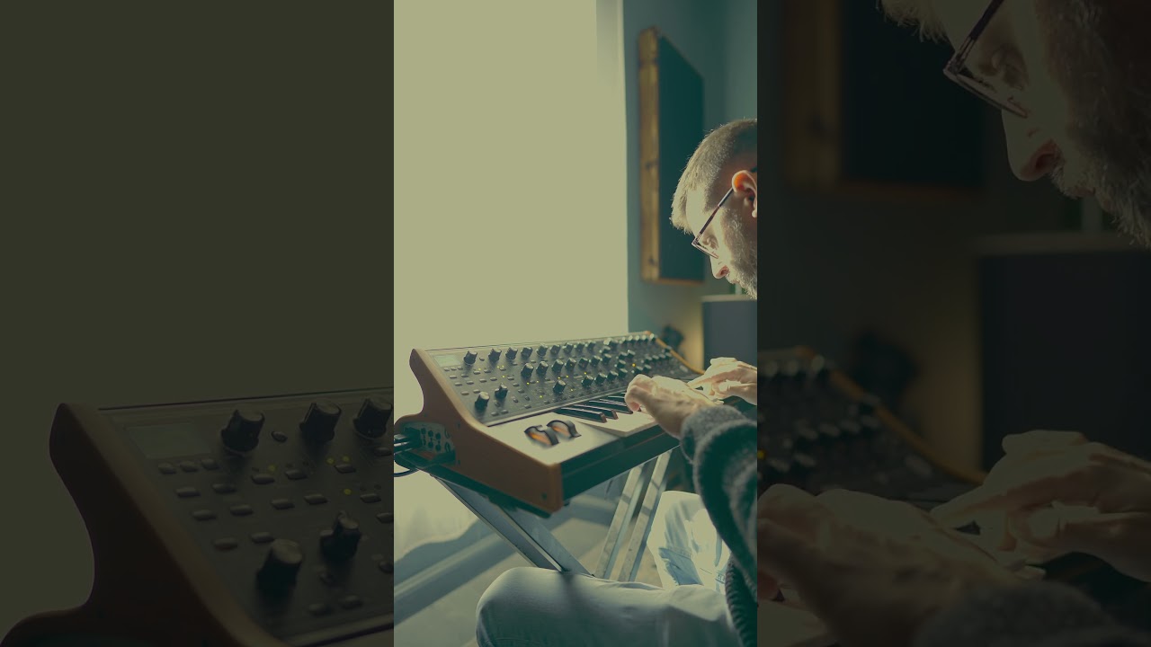 🤩 Moog Sub37 DUO Mode is something else...