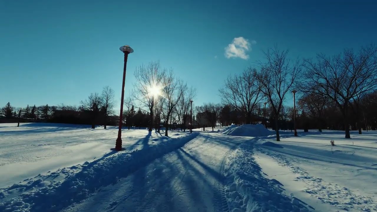 Winnipeg at -20°C: A Beautiful Winter Walk (4K)