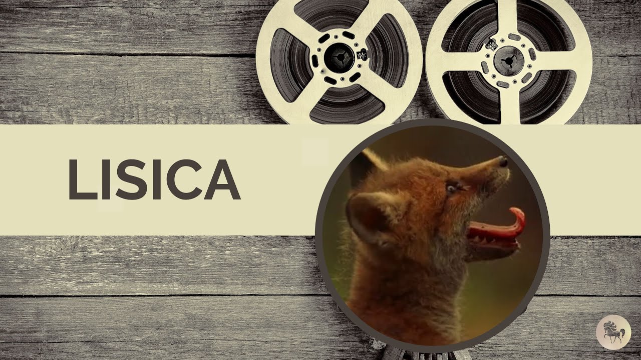 Lisica (Branko M. Marjanović, 1964.) dokumentarni film