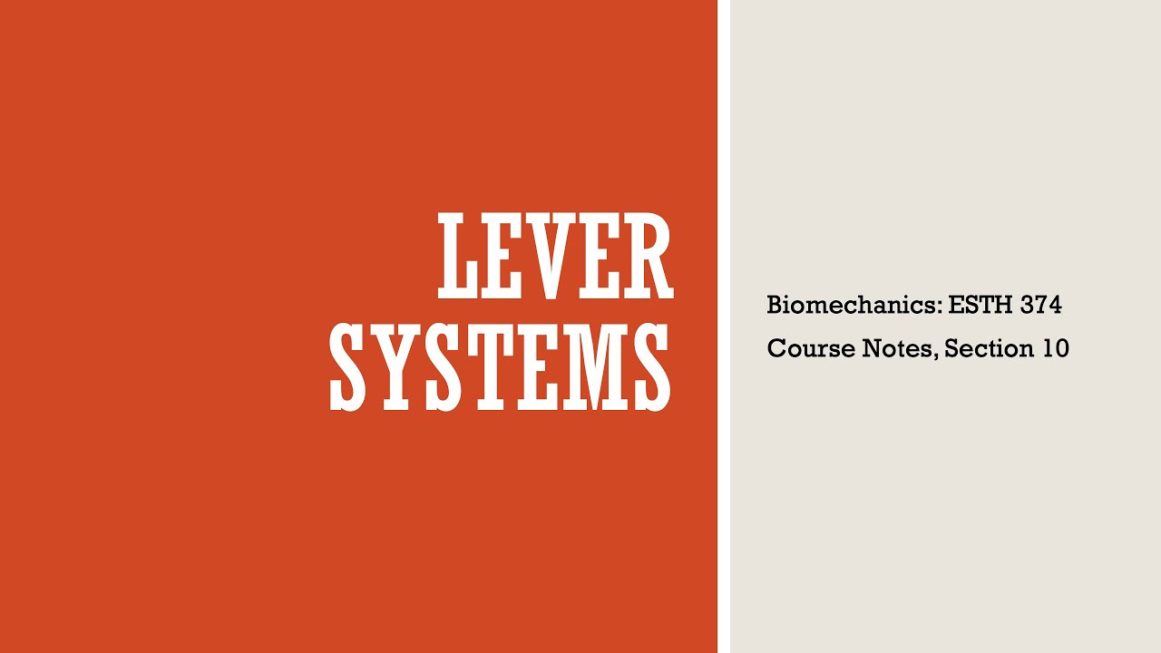Lever Systems - Biomechanics