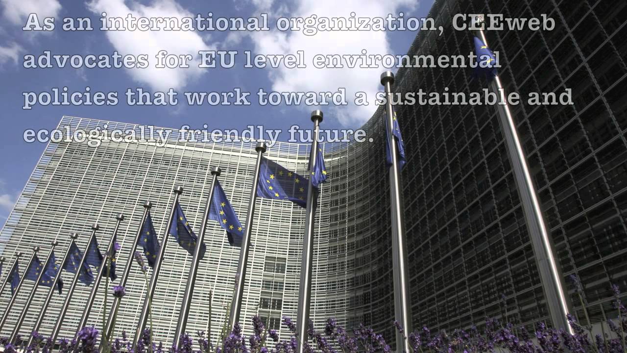 CEEweb Internship Video 2013