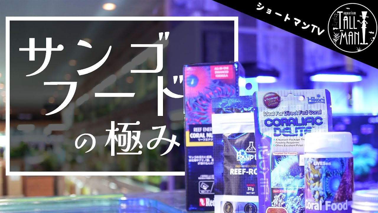 ショートマンTV！サンゴフードの極みPart2“実践編”