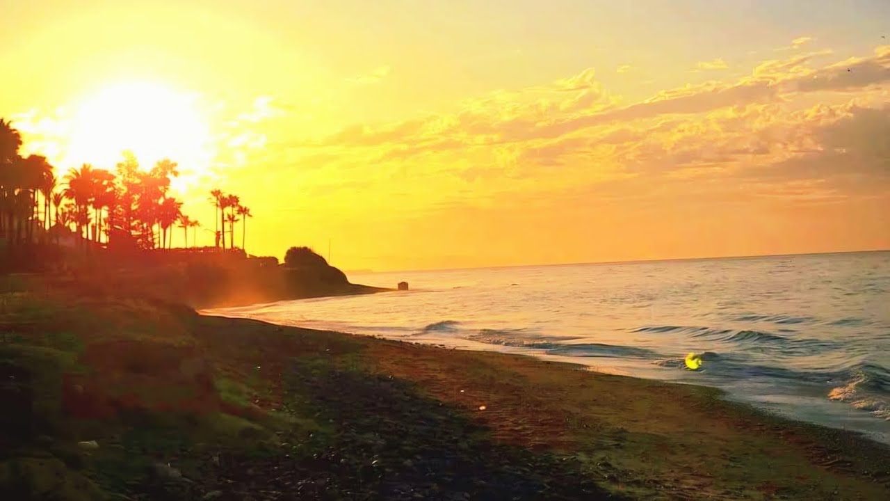 Estepona Sunrise Walk on the Paseo Maritimo