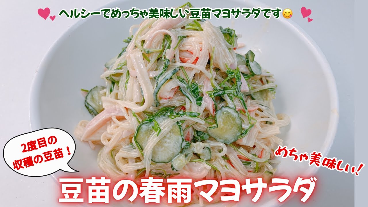 豆苗の春雨マヨサラダです❣️ ヘルシーでめっちゃ美味しい春雨マヨサラダです😋　いくらでも食べられます❣️レシピ等詳細は概要欄をご覧下さいませ。