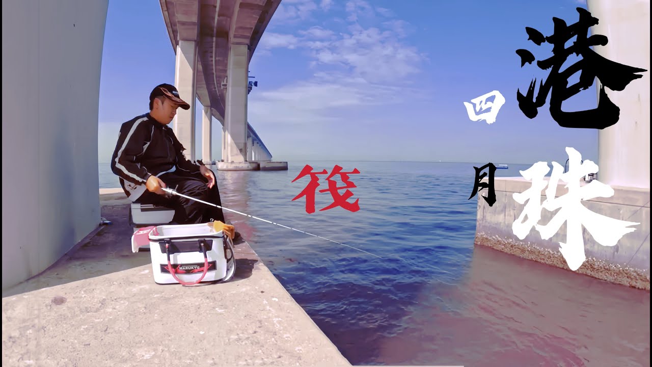 春季之筏釣記錄！令你代入我如何懷疑人生的短片！#marukyu #筏釣 #筏釣り #黑鯛 #港珠澳大橋 #香港 #黑沙 #団子釣り#春季釣