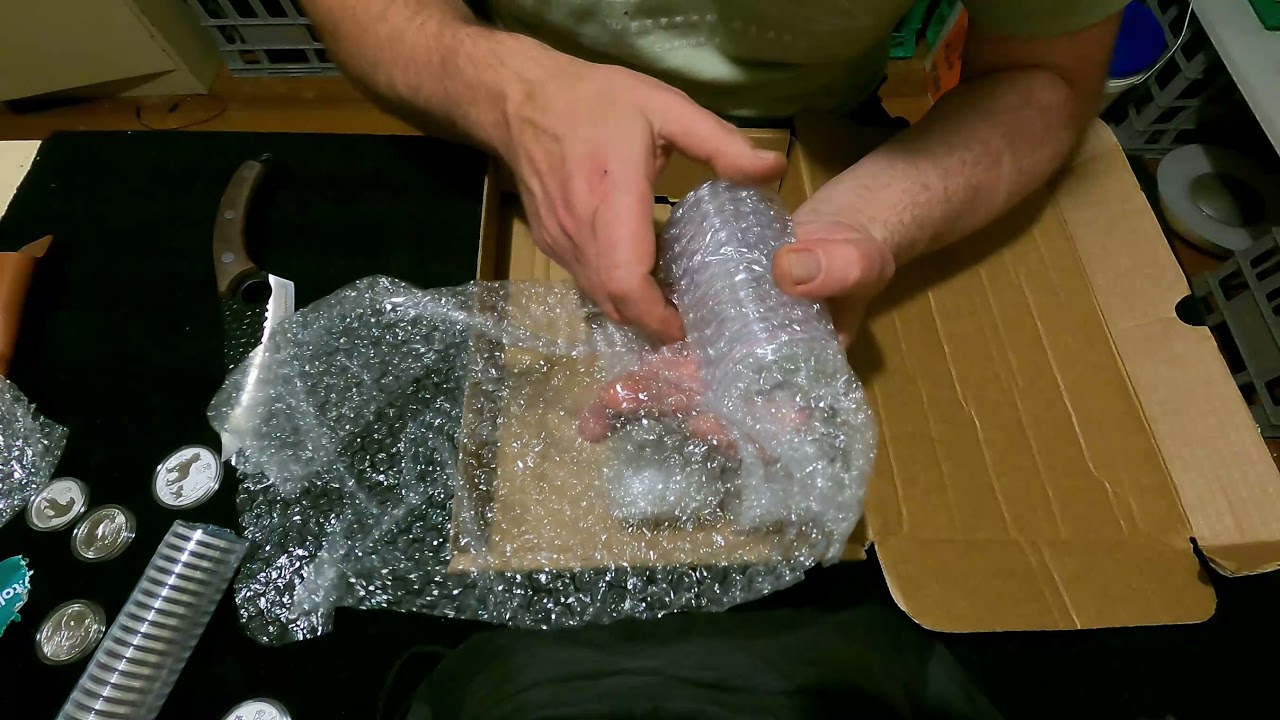 Silver & Platinum Unboxing, Prepping for SHTF & Inflation