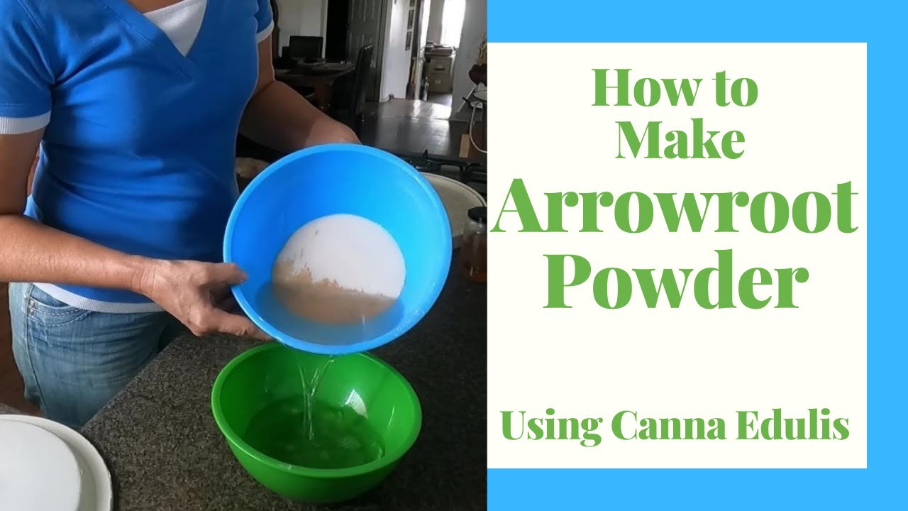How to make Arrowroot Powder