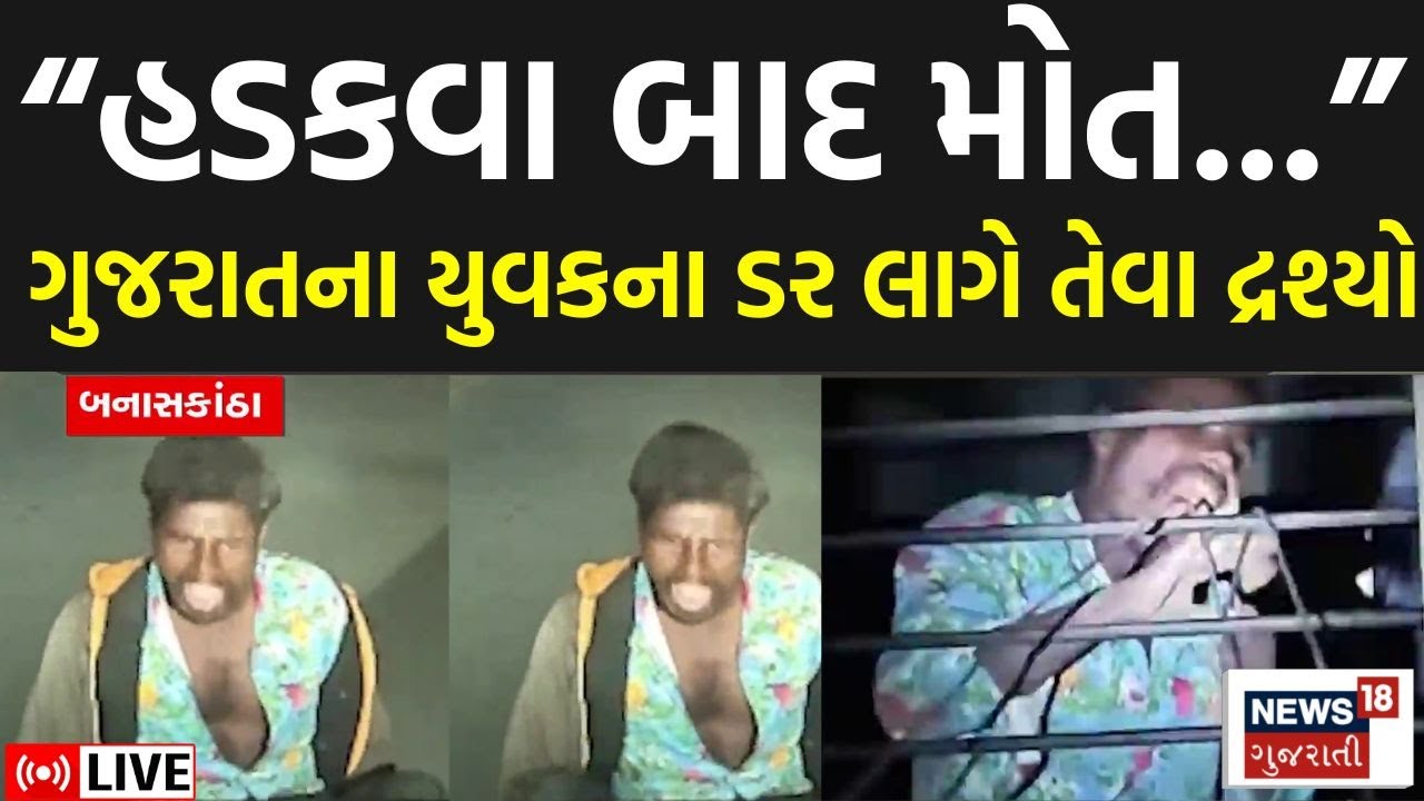 Palanpur Dog Bite Case Live | ગુજરાતના યુવકના ડર લાગે તેવા દ્રશ્યો | Rabies | Banaskantha News