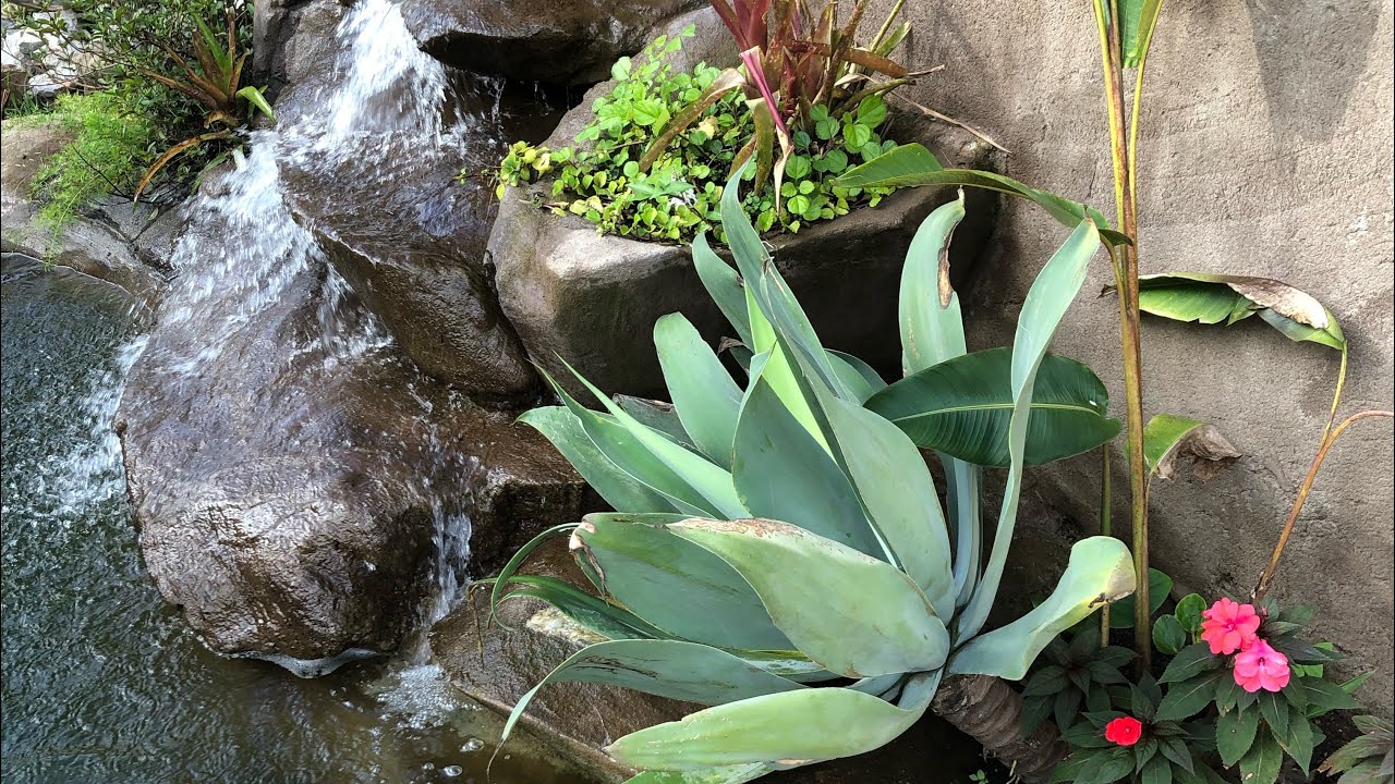 LAGO ORNAMENTAL COM CASCATA #lagoornamental