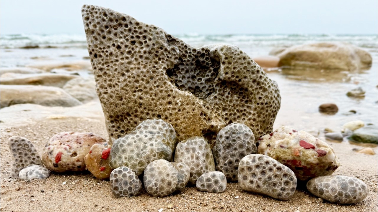 Cold, Wet, and Worth It? Rock Hunting Showdown!